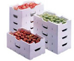 Fruit box